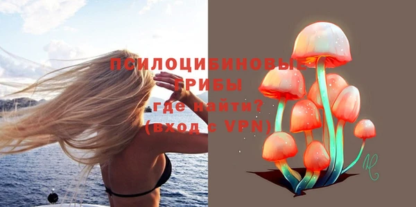 ECSTASY Абаза