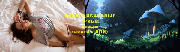 ECSTASY Абаза