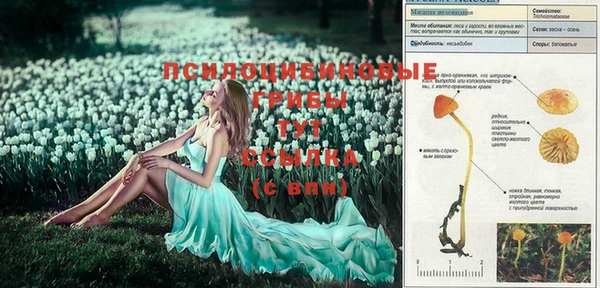 каннабис Абинск