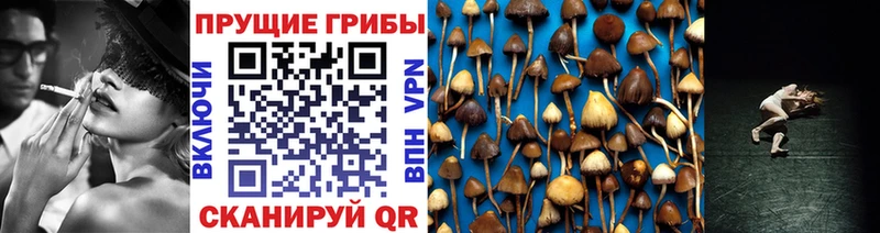 Галлюциногенные грибы Magic Shrooms  Нефтегорск 